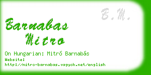 barnabas mitro business card