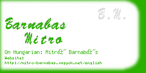 barnabas mitro business card